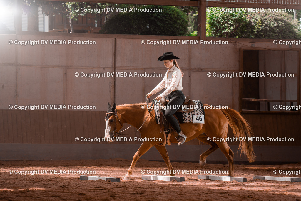 NE100522 | dv-media-shop - Realisiert mit Pictrs.com