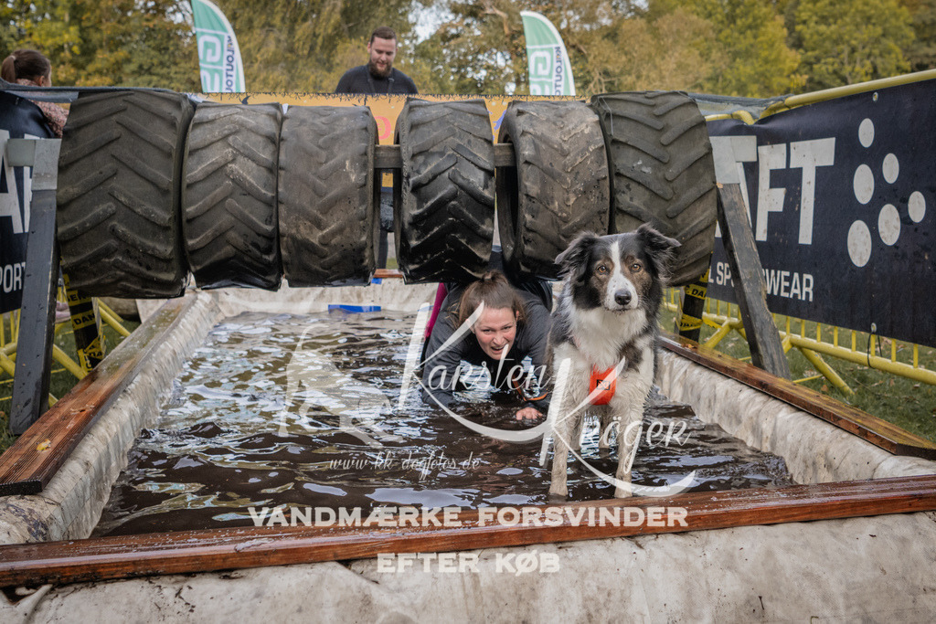 1500_ZZ90911 | kk-dogfotos