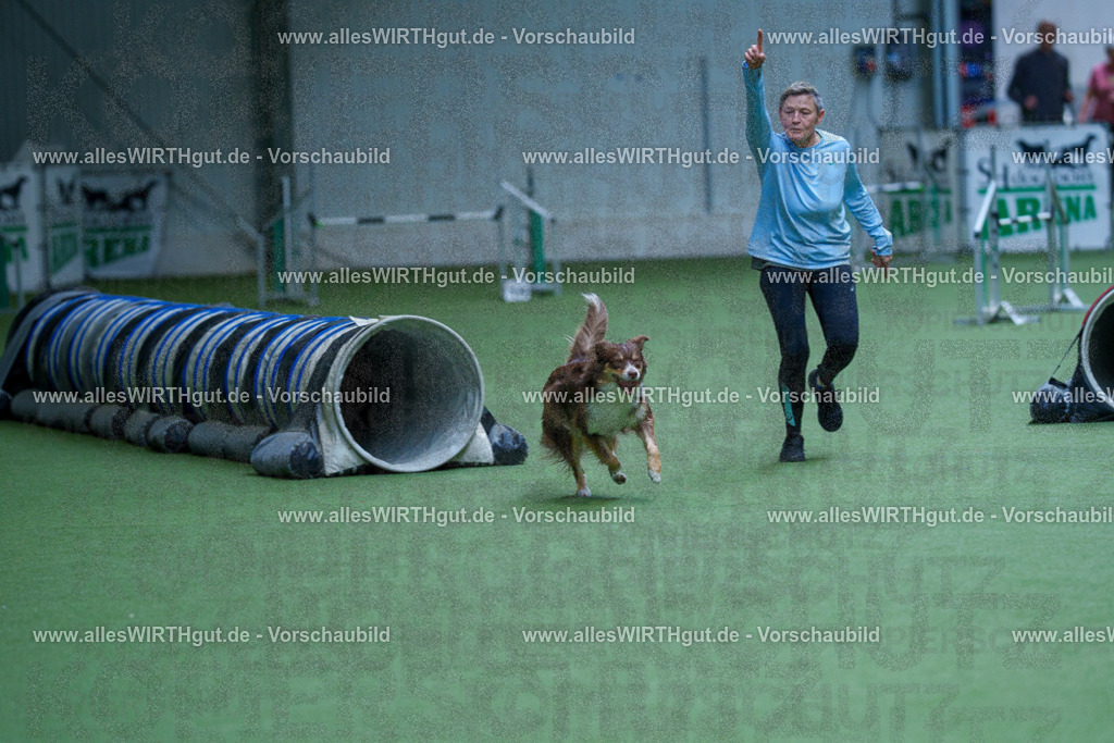 @allesWIRTHgut_Tierfotografie - www.allesWIRTHgut.de - 2604251339-7R503757 | Professionelle Tierfotografie in Mönchengladbach von Daniel Wirth (allesWIRTHgut). Liebevolle & natürliche Bilder von Hunden & Katzen für unvergessliche Erinnerungen.