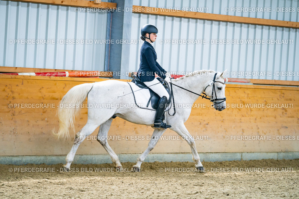 DSC04093 | Pferdegrafie