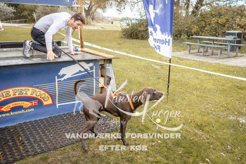 1343_ZZ91902-2 | kk-dogfotos