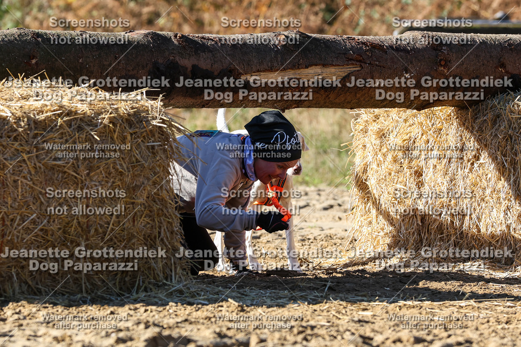 Dog Paparazzi - Strongdog 10-25-2752 | Dog Paparazzi Jeanette Grottendiek Fotografie & Videografie - Realisiert mit Pictrs.com