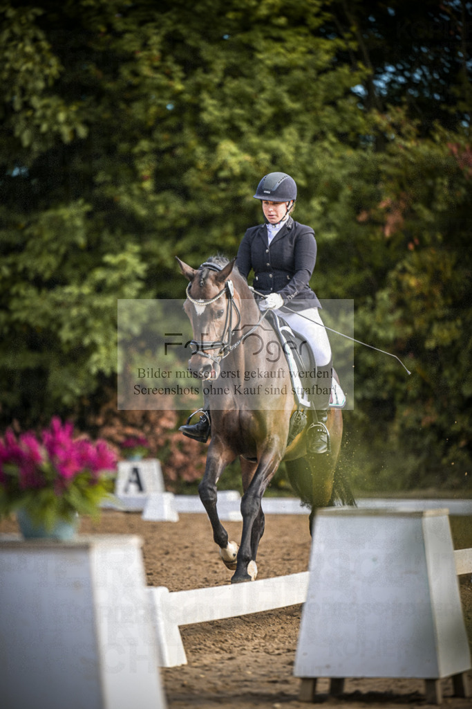 DOS_0073 | Entdecke hochwertige Reitturnierfotos von Foto Oger. Professionell, emotional und authentisch – jetzt Lieblingsmomente im Shop bestellen.Deutschlandweite Turnierfotografie. - Realisiert mit Pictrs.com