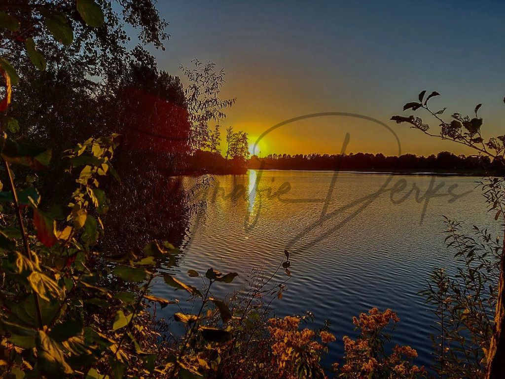 Bilder Homepage-23 | fotografie-derks - Realisiert mit Pictrs.com