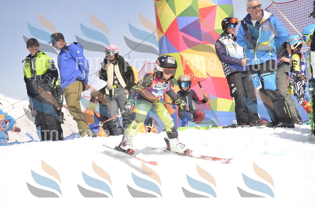 _ELE9178 | holidayphoto