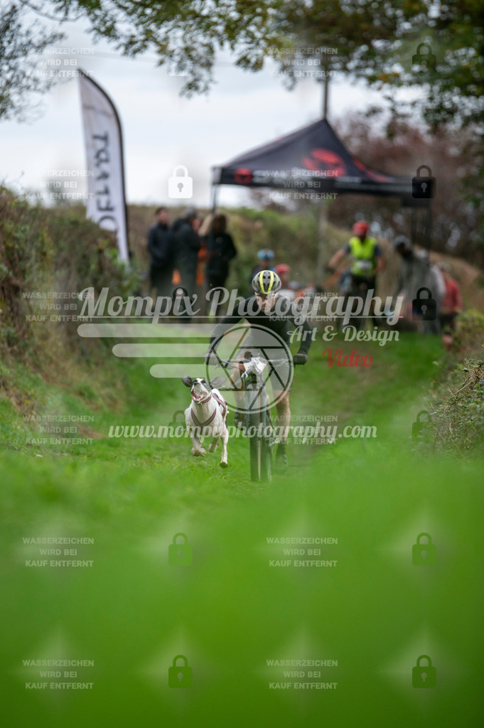 TSB_2023_E8_Bike-4 | PayLife