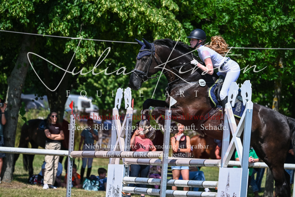DSC_0966 | Pferde- und Turnierfotografie in Westsachsen. Pferdeportraits, Auftragszeichnungen und intuitive Kunst.