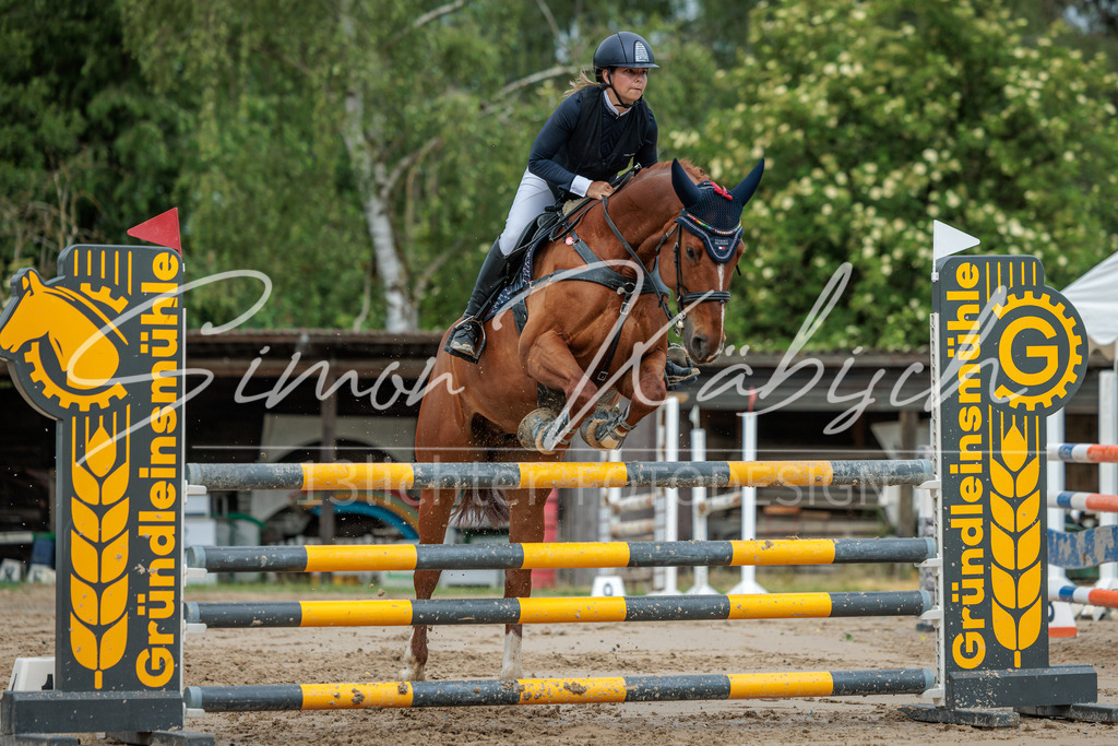 20260530-_3LI2521 | Tierfotografie Pferde, Hunde, Katzen, Haustiere.
Turnierfotografie Reitturniere, Reiten, Springreiten, Dressur in Hanau, dem Main-Kinzig-Kreis und dem Rhein-Main- Gebiet um Frankfurt
