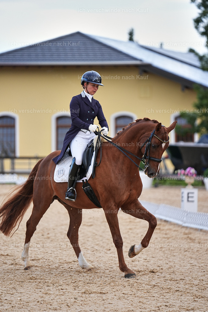 10-113-ST.GEORG SPECIAL -Marixx-3315 | working equitationturnier fotograf videograf stoibphotography marixx film working equitation deutschland reitsport turnierfotografie eventfotografie equestrian events