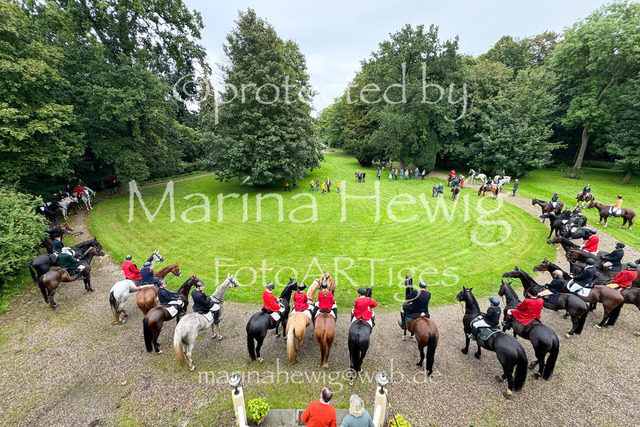 Jagd Perdoel 26-8272_MarinaHewig | Fotografie, FotoArt, PferdesportArt, Pferdesportfotografie, Landschaftsfotografie, Reisefotografie, Reise, Pferde - Realisiert mit Pictrs.com
