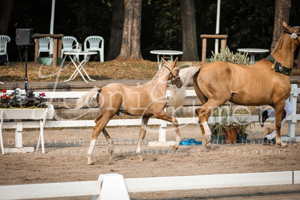 11.DoRP00201 | Leoni Ertmer Photography - Realisiert mit Pictrs.com