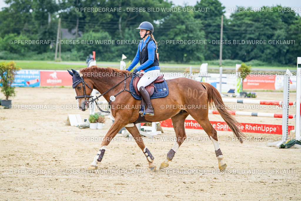 DSC03667 | Pferdegrafie