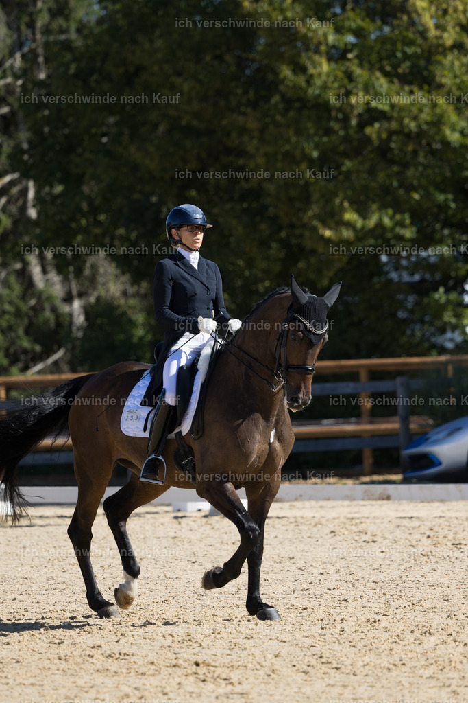 FHC2026_P07_239_17724 | working equitationturnier fotograf videograf stoibphotography marixx film working equitation deutschland reitsport turnierfotografie eventfotografie equestrian events