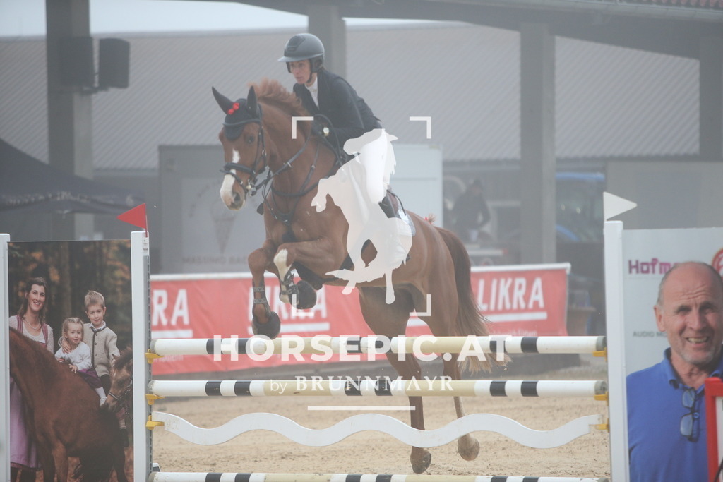 PP012405 | Willkommen bei Brunnmayr - Design & Fotografie – Ihrem Spezialisten für Reitturniere und Pferdeveranstaltungen in Oberösterreich, Salzburg und Bayern! Seit über 17 Jahren sind wir leidenschaftlich dabei.