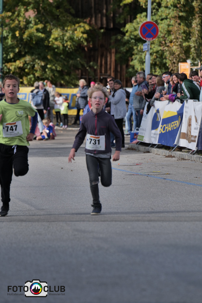 P1039340 | Foto Buchgraber