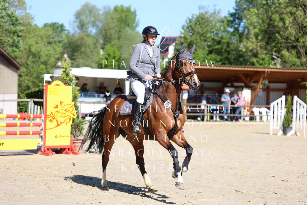 IMGS6682 | pl-fotografie