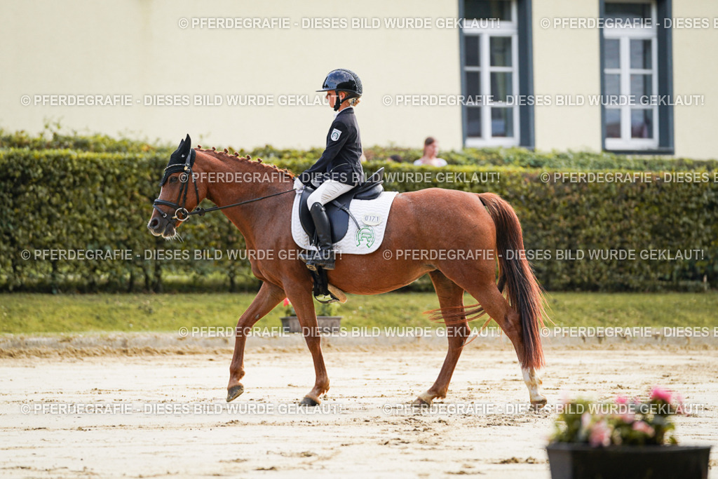 DSC05441 | Pferdegrafie