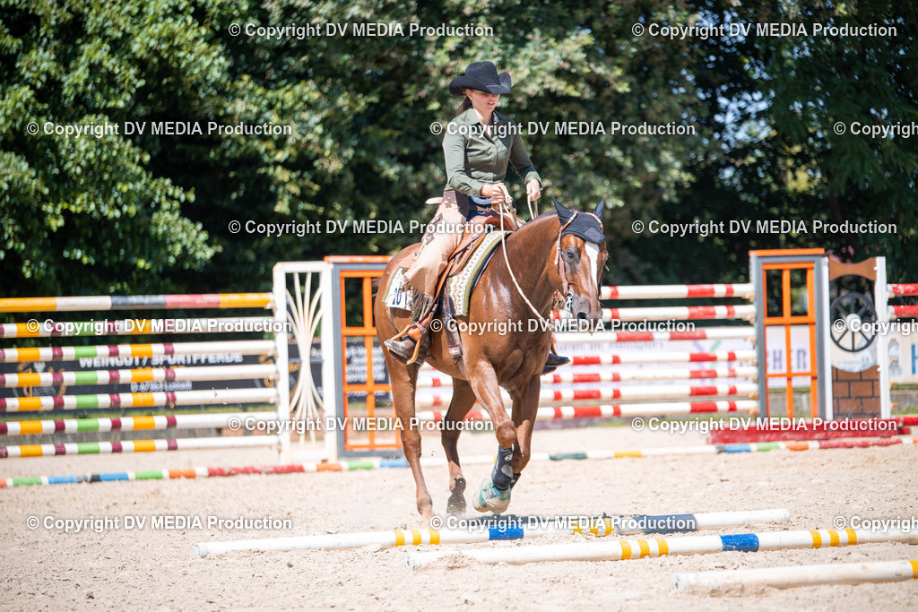 ZS1_1476 | dv-media-shop - Realisiert mit Pictrs.com