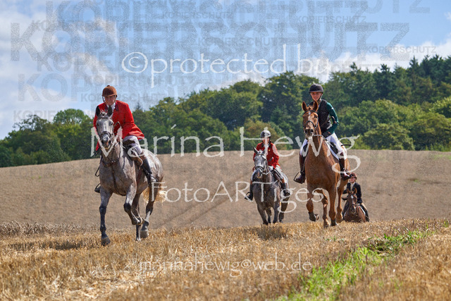 _MCH8311_Marina Hewig | Fotografie, FotoArt, PferdesportArt, Pferdesportfotografie, Landschaftsfotografie, Reisefotografie, Reise, Pferde - Realisiert mit Pictrs.com