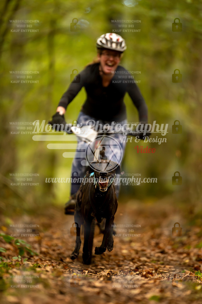 TSB_2023_E1_Bike-23 | PayLife