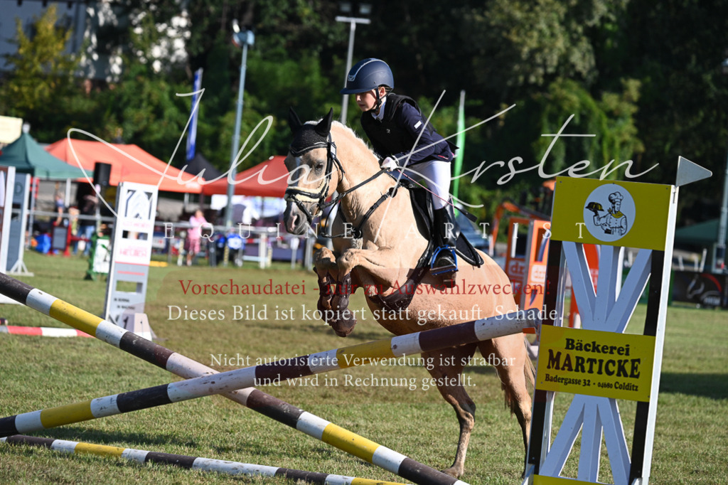 DSC_4724 | Pferde- und Turnierfotografie in Westsachsen. Pferdeportraits, Auftragszeichnungen und intuitive Kunst.