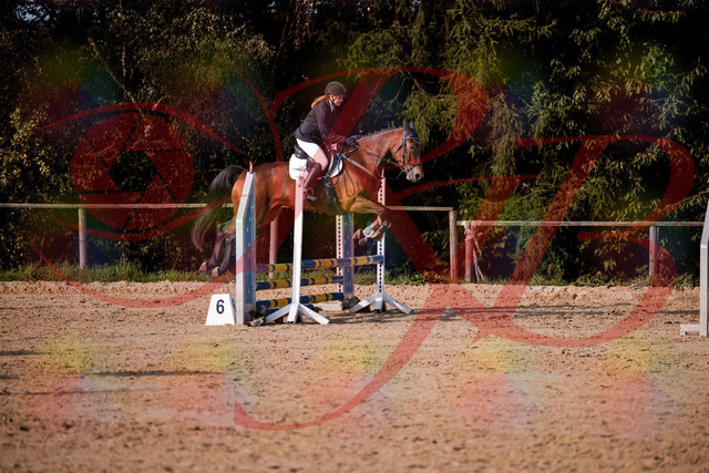 2026_10_03_Siefer-Hof_161057_Z81_90843150 | Professionelle Reitsport-, Turnier- und Eventfotografie von Robert Broda. Galerien mit ausgewählten und bearbeiteten Bildern direkt online ansehen und bestellen.