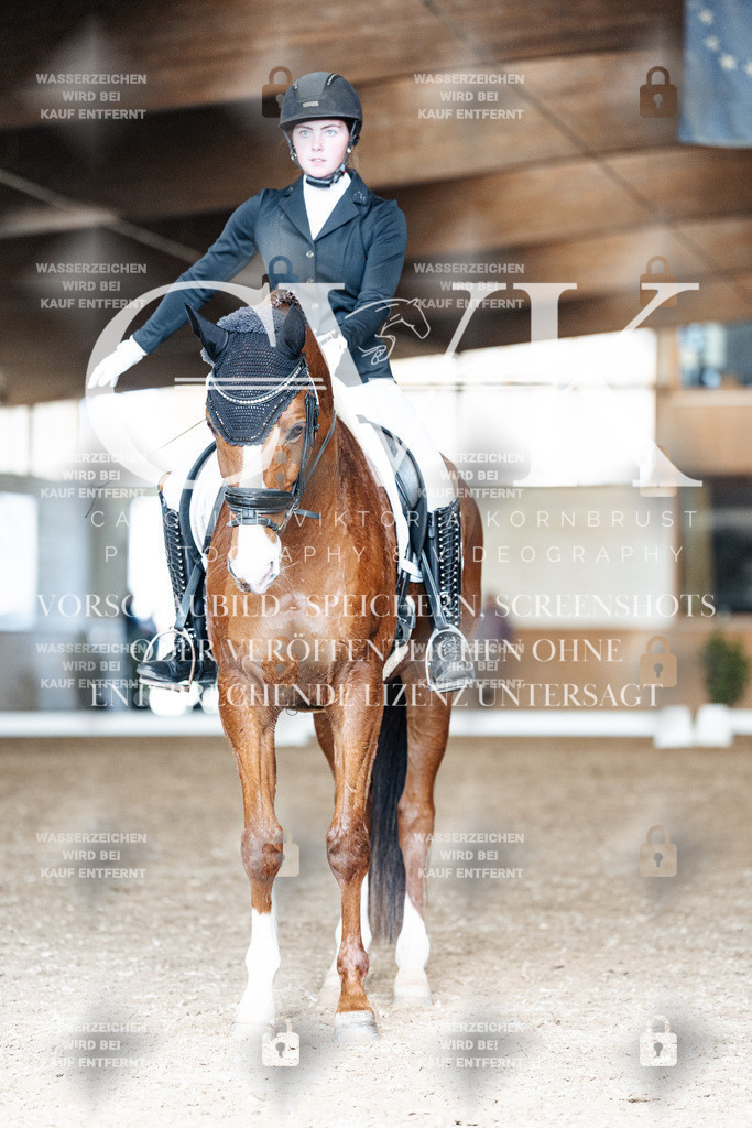 CK901746 | Turnierfotografie Pferdefotografie Trier Rheinland-Pfalz Pferdesport Reitsport Tierfotografie Sportfotografie Pferdevideo Pferdevideografie Equestrianvideography equestrianphotography  - Realisiert mit Pictrs.com