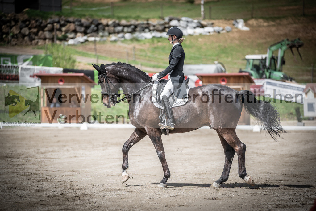 DSC_2285 | equestrian-live-com