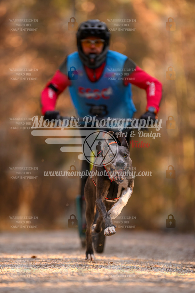 MompixPhotography_DM_AKDM_SO_2025_Scooter-130 | PayLife
