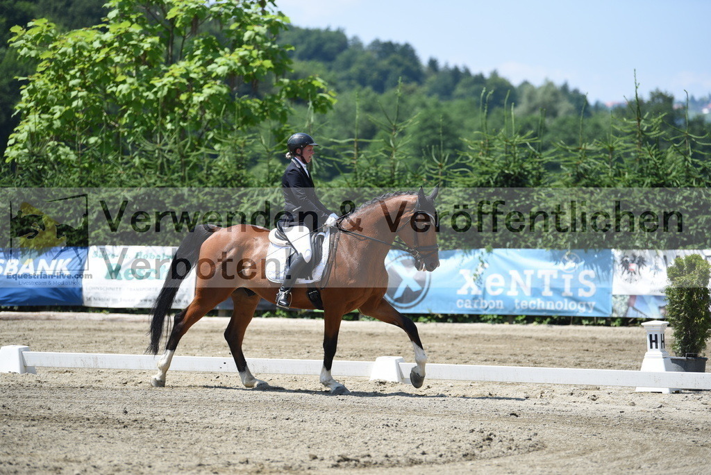 DSC_0854 | equestrian-live-com