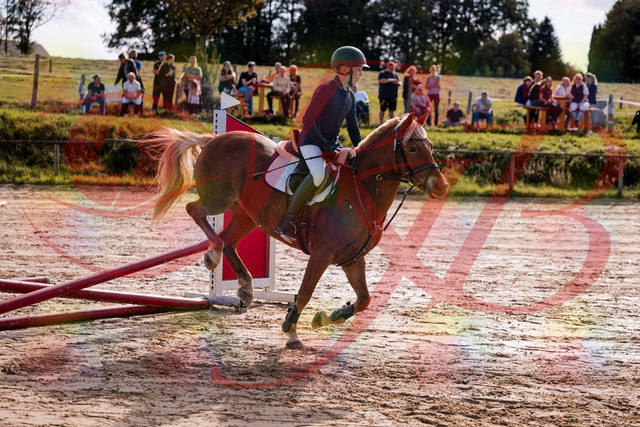 2026_10_03_Siefer-Hof_144651_Z81_23044381 | Professionelle Reitsport-, Turnier- und Eventfotografie von Robert Broda. Galerien mit ausgewählten und bearbeiteten Bildern direkt online ansehen und bestellen.