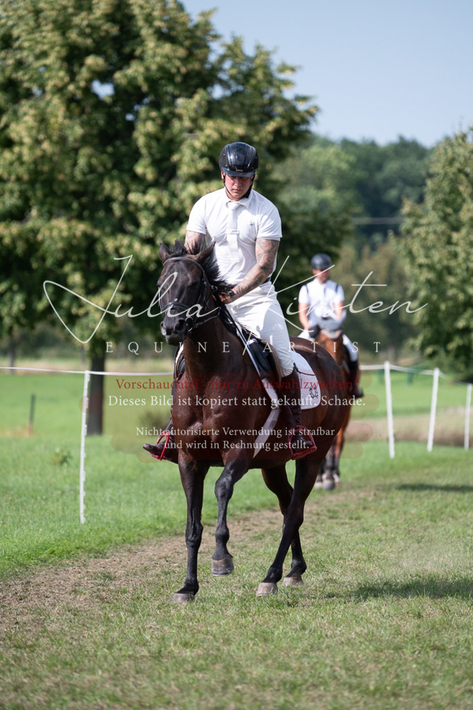 DSC_1005 | Pferde- und Turnierfotografie in Westsachsen. Pferdeportraits, Auftragszeichnungen und intuitive Kunst.
