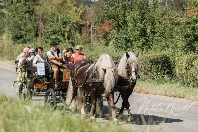 7V6A1212 | natalia-nirschl-photography