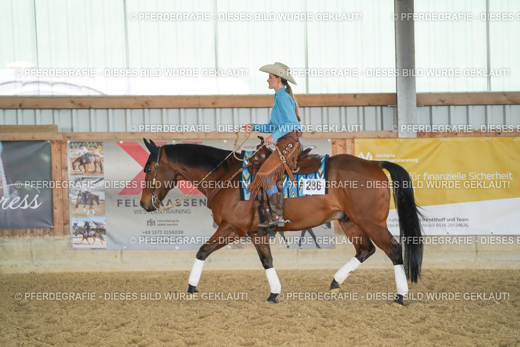 DSC00840 | Pferdegrafie