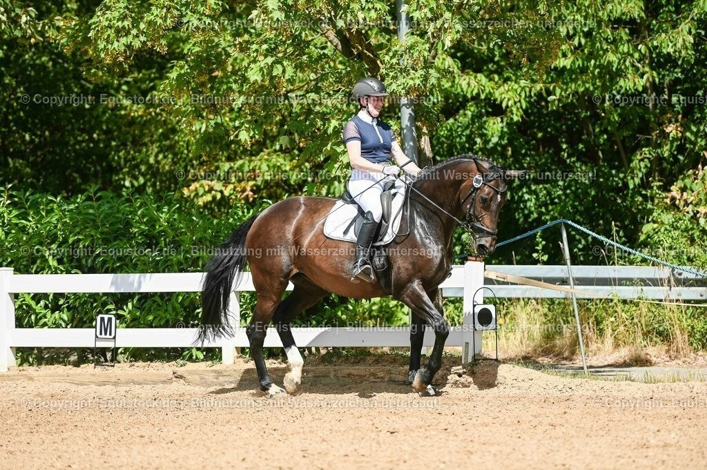 20230715_02_Dressurreiterprüfung Kl.L_0115 | equistock
