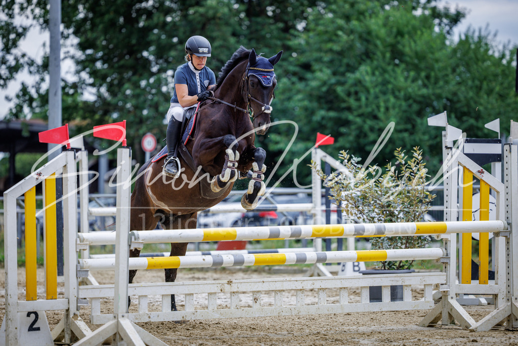 20260705-_3LI6051 | Tierfotografie Pferde, Hunde, Katzen, Haustiere.
Turnierfotografie Reitturniere, Reiten, Springreiten, Dressur in Hanau, dem Main-Kinzig-Kreis und dem Rhein-Main- Gebiet um Frankfurt