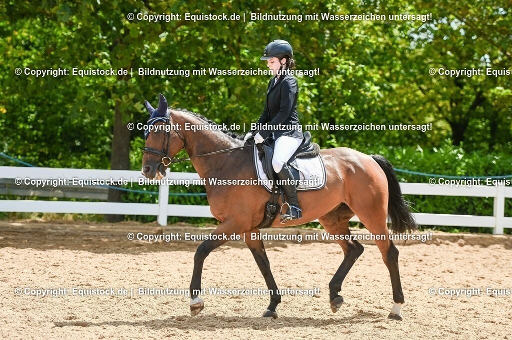 20230715_09_Dressur-WB_0449 | equistock