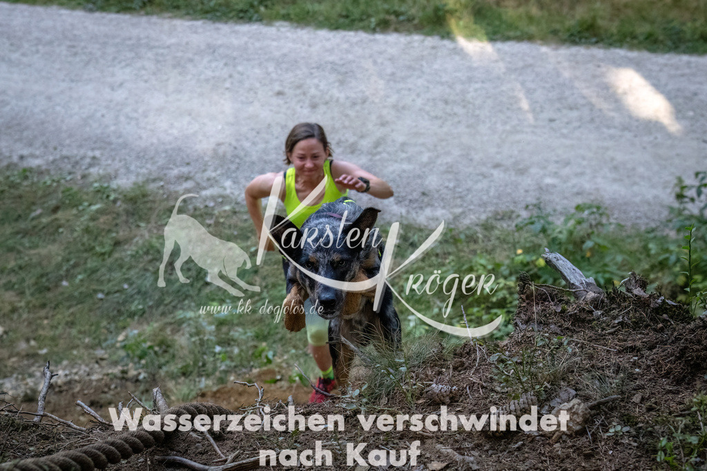 0936_ZZ92453-DeNoiseAI-low-light | kk-dogfotos