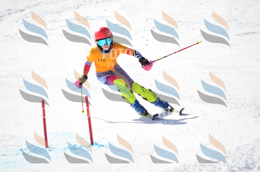 C9552 | holidayphoto