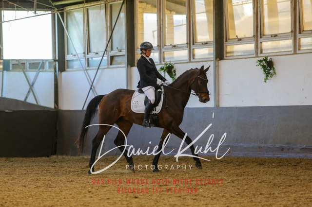 IMG_3223 | Turniersportfotografie; Pferdefotografie; Dressurfotografie