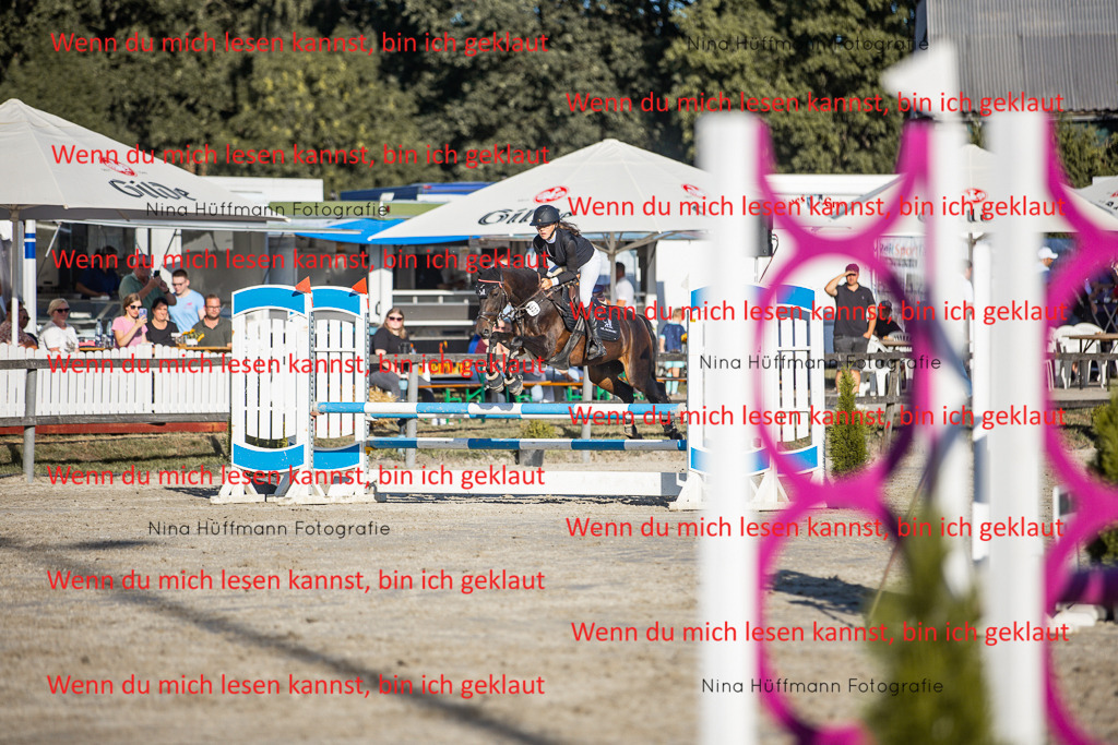 BK1A7846 | Turnierbilder Turnierfotos Nina Hüffmann Turnierfotografie Pferdefotografie Tierzeichnung Haustierzeichnung Pferdezeichnung Hundezeichnung Videograf  - Realisiert mit Pictrs.com