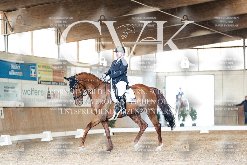CK901671 | Turnierfotografie Pferdefotografie Trier Rheinland-Pfalz Pferdesport Reitsport Tierfotografie Sportfotografie Pferdevideo Pferdevideografie Equestrianvideography equestrianphotography  - Realisiert mit Pictrs.com
