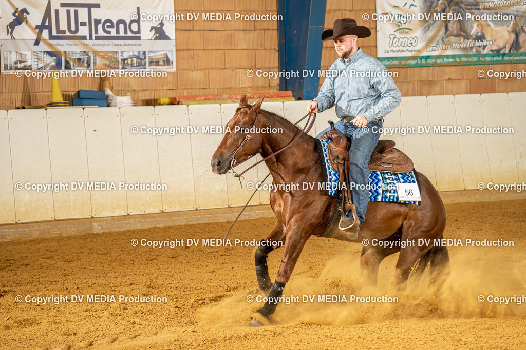 MIT01114 | dv-media-shop - Realisiert mit Pictrs.com