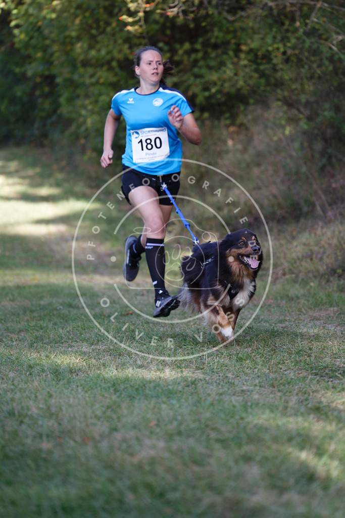 0L8A5447 | Hundefotografie, Tierfotograf, Pfotenfotografie, Fotoshooting Hund, Hunde Portrait, Hundesport, Hundeportraits, Heideshooting, Hunde, Sportfotograf, Hundefotograf, Turnierhundsport, THS,  - Realisiert mit Pictrs.com