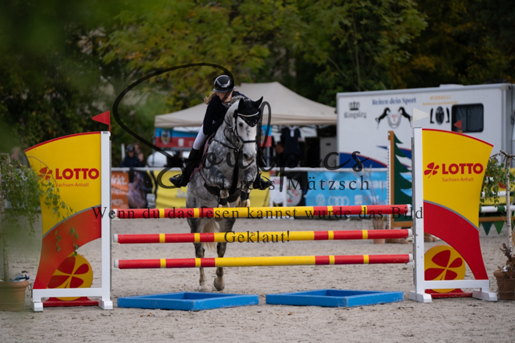 A7V00386 | Pferdefotograf