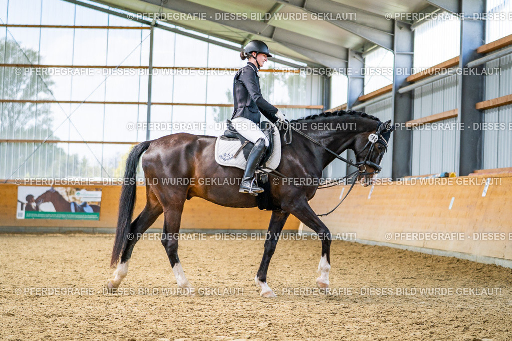 DSC04229 | Pferdegrafie