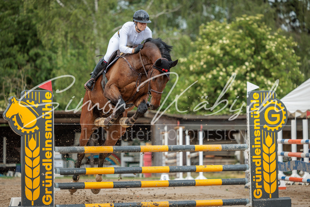 20260530-_3LI2621 | Tierfotografie Pferde, Hunde, Katzen, Haustiere.
Turnierfotografie Reitturniere, Reiten, Springreiten, Dressur in Hanau, dem Main-Kinzig-Kreis und dem Rhein-Main- Gebiet um Frankfurt