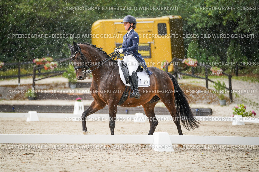 DSC08039 | Pferdegrafie