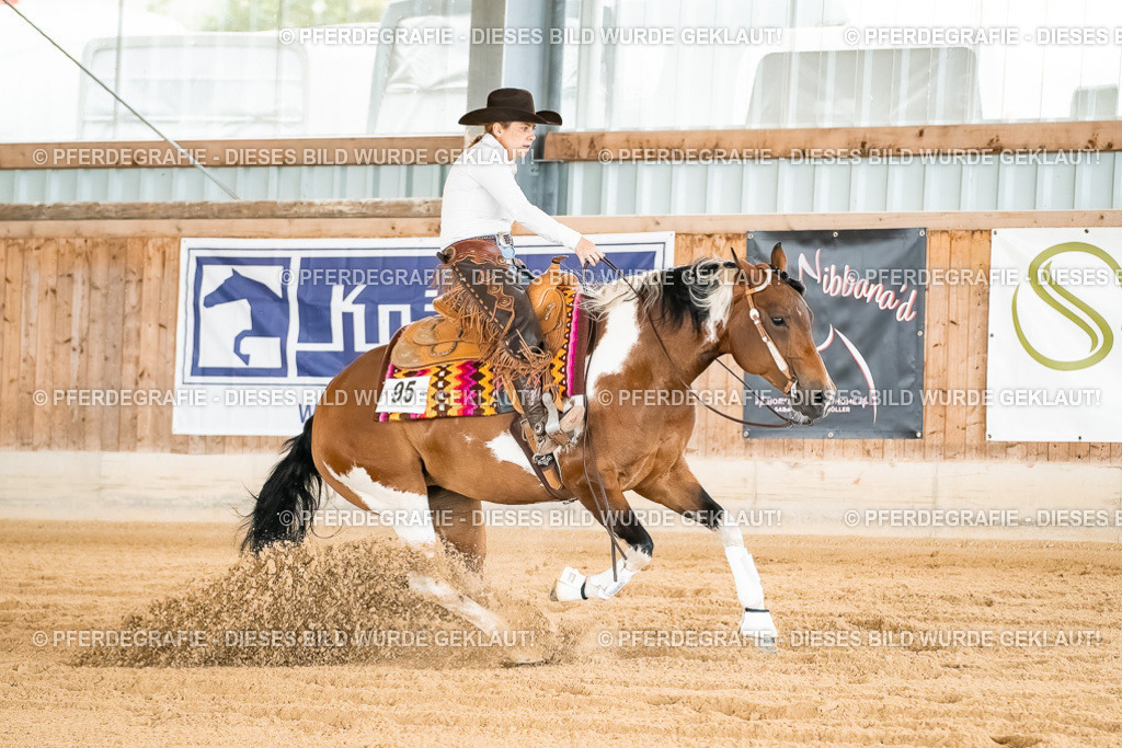 DSC01919 | Pferdegrafie