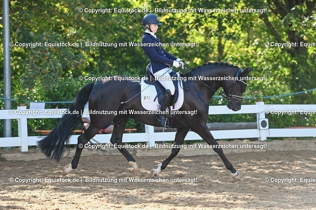 20230715_06_Dressurpferdeprfg. Kl.A_0242 | equistock